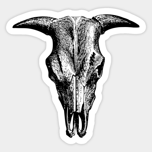 Vintage Animal Skull | Bull Skull | Steer Skull | Cow Skull | Sheep Skull | Horned Skull | Sticker by Eclectic At Heart